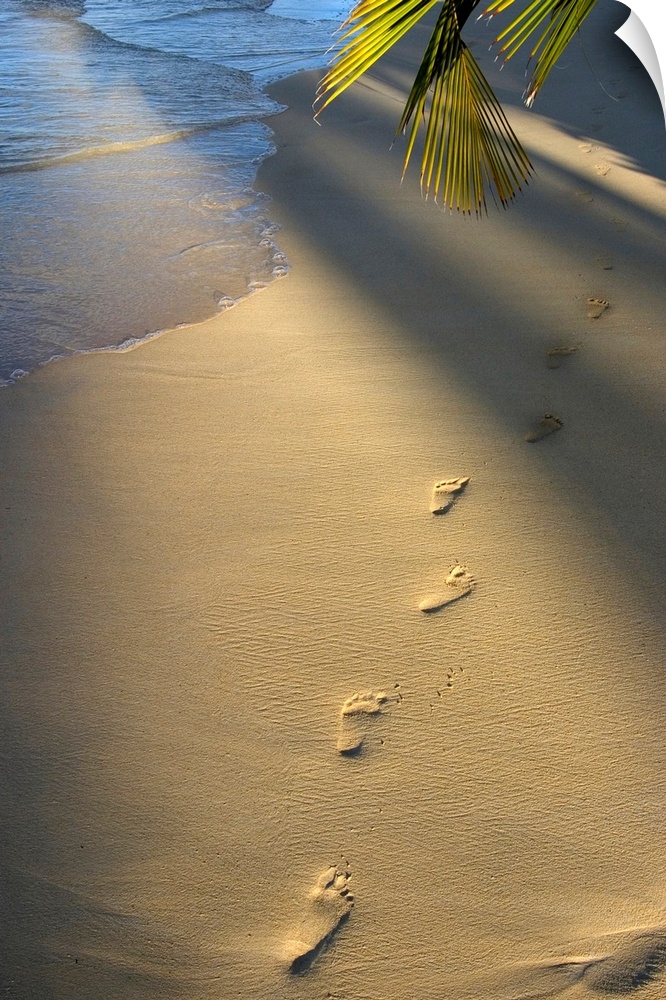 Vertical photograph on a large wall hanging of a single row of footprints in the sand, near the shoreline.  The sun shines...