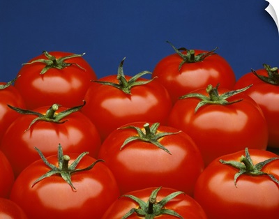 Fresh market tomatoes