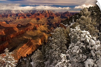Fresh snow at the South Rim, Grand Canyon National Park, Arizona