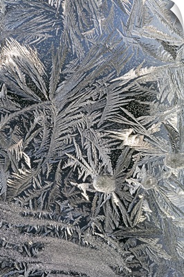 Frost Crystals On A Window; Calgary, Alberta, Canada