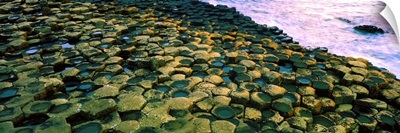 Giant's Causeway, County Antrim, Ireland