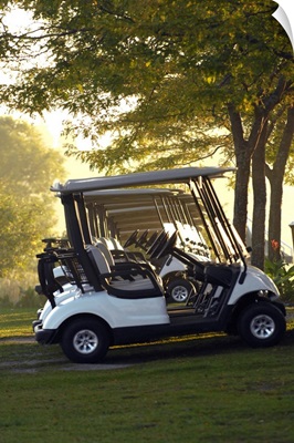 Golf Carts In Early Morning At A Golf Club, Newmarket, Ontario, Canada