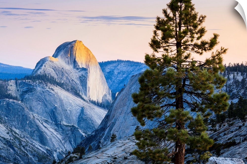 Half Dome seen from Olmsted Point, Yosemite National Park, California, United States of America.