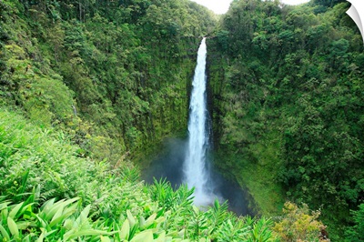 Hawaii, Big Island, Akaka Falls State Park, View Of Misty Falls