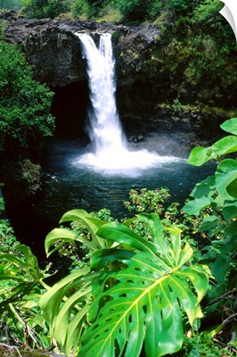 Hawaii, Big Island, Hilo, Rainbow Falls State Park, Greenery Surrounding