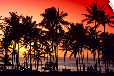 Hawaii, Big Island, Kohala Coast, Red Sunset, Orange Sky, Palms