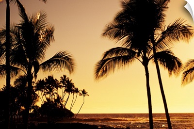 Hawaii, Big Island, Mauna Lani Resort, Ocean And Silhouetted Palm Trees At Sunset