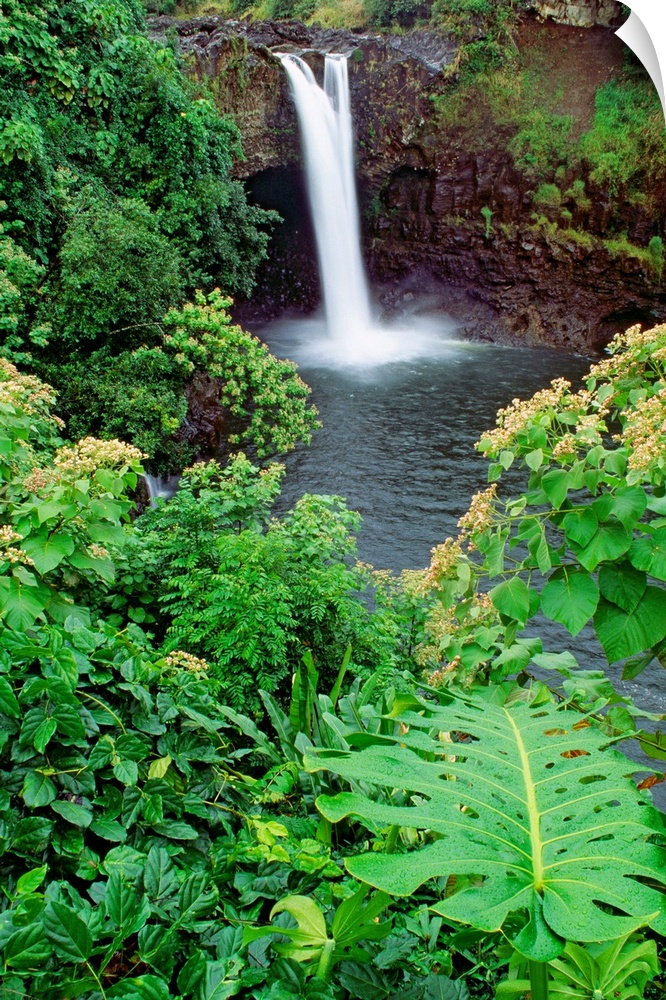Hawaii, Big Island, Rainbow Falls, Pool Surrounded By Tropical Foliage