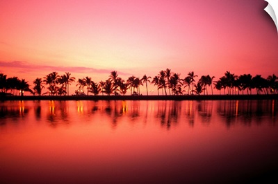 Hawaii, Big Island, Royal Waikoloa, Line Of Palms At Sunset