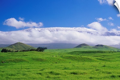 Hawaii, Big Island, Waimea, View Of Snowcapped Mauna Kea From Lush Rolling Hills Below