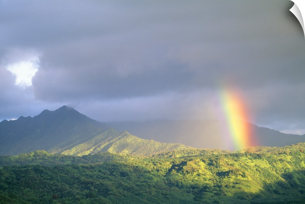 Hawaii, Kauai, End Of Rainbow Lands In Hanalei Valley