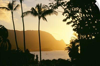 Hawaii, Kauai, Hanalei Bay, Bali Hai, Yellow Sunset Through Palm Trees