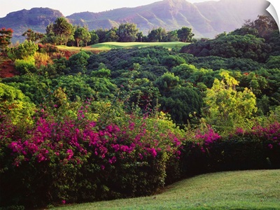 Hawaii, Kauai, Lihue, Kauai Lagoons Golf Course