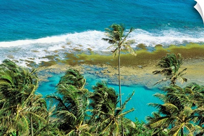 Hawaii, Kauai, Napali Coast, Palm Trees, Ocean With Breaking Waves