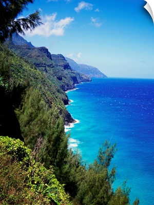 Hawaii, Kauai, Napali Coast Trail, Lush Greenery