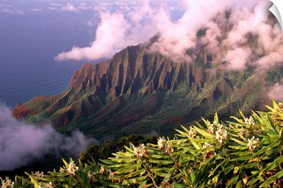 Hawaii, Kauai, North Shore, Kalalau Valley With Yellow Ginger