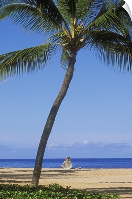 Hawaii, Lanai, Manele Bay Beach Park, Palm Tree And Woman On The Beach