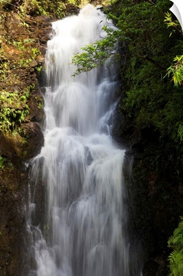 Hawaii, Maui, Hana, A Waterfall Surrounded By Lush Bamboo Plants
