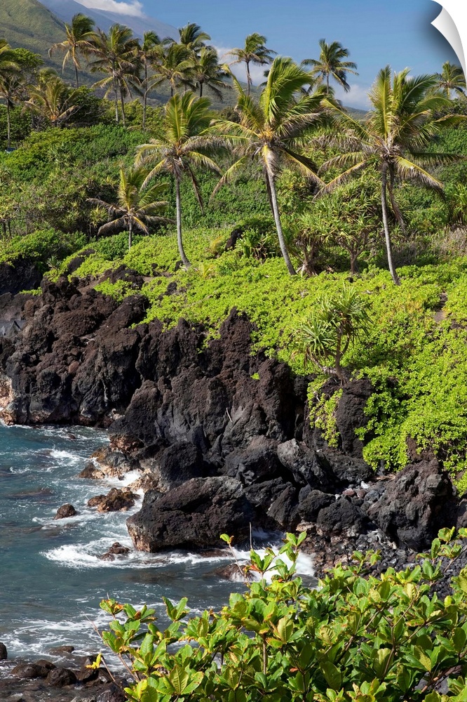 Hawaii, Maui, Hana, The Black Sand Beach of Waianapanapa