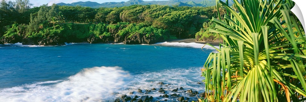 Hawaii, Maui, Hana, Waianapanapa State Park, Black Sand Beach