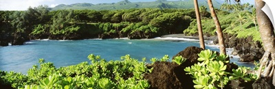 Hawaii, Maui, Hana, Waianapanapa State Park, Black Sand Beach And Lush Greenery