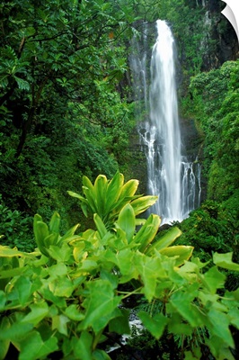 Hawaii, Maui, Hana, Wailea Falls Cascading