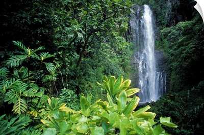 Hawaii, Maui, Hana, Wailea Falls, Surrounded By Lush Greenery