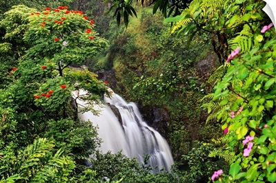 Hawaii, Maui, Hana, Waterfall Surrounded By Tropical Flowers And Plants