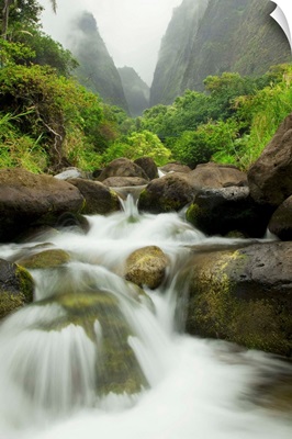 Hawaii, Maui, Iao River Valley Waterfall