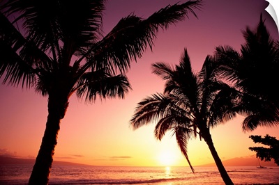 Hawaii, Maui, Ka'anapali, Sunset With Palms And Golden Reflections On Ocean