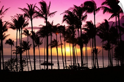 Hawaii, Maui, Kapalua Bay, Tropical Sunset, Palms Silhouette