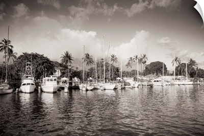 Hawaii, Maui, Lahaina, Boats Lined In Harbor