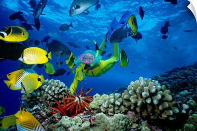 Hawaii, Maui, Molokini Crater, Woman In Yellow Dive Suit Snorkels Over Reef