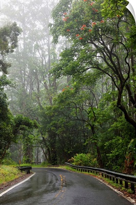 Hawaii, Maui, The lush Road To Hana
