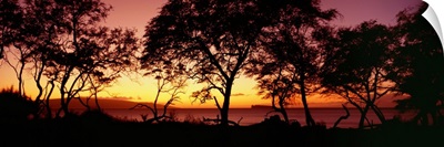 Hawaii, Maui, Trees Silhouetted On West Maui Shoreline, Molokini Island In Distance