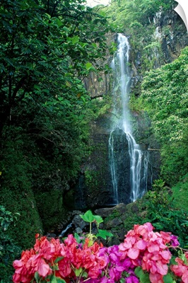Hawaii, Maui, Wailua Waterfall And Rainforest