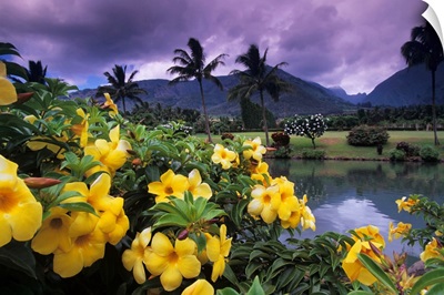 Hawaii, Maui, Yellow flowers at the Waikapu Valley Tropical Plantation