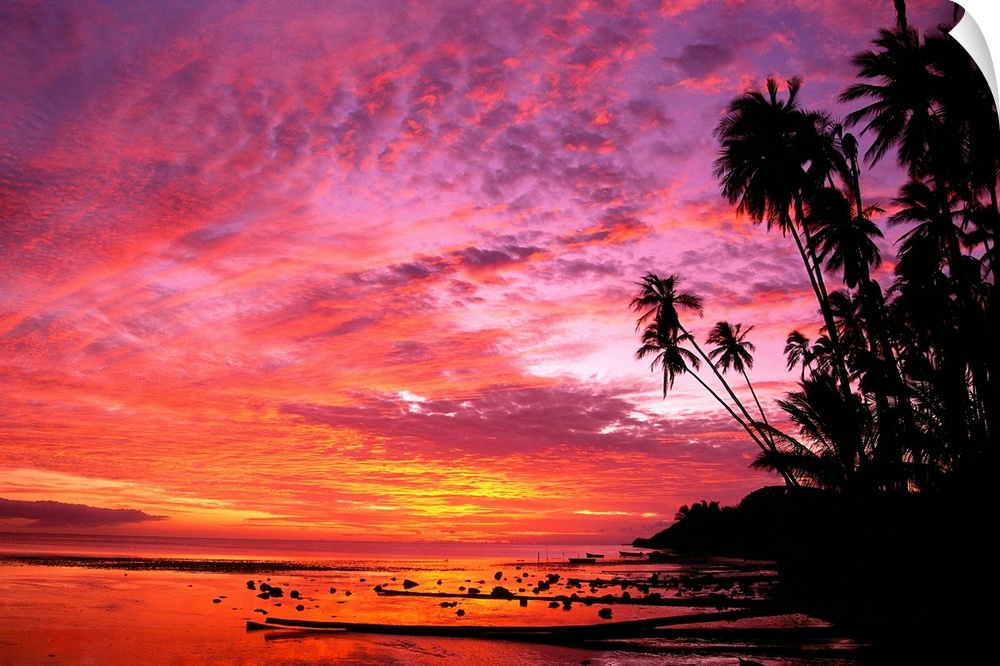 Photograph of shoreline covered in palm trees under a colorful cloudy sky at dusk.