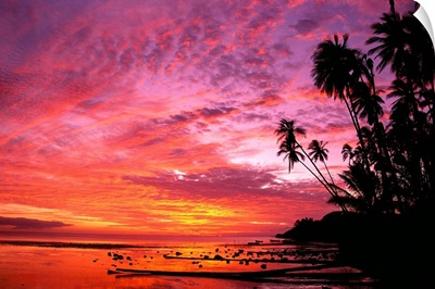 Hawaii, Molokai, Dramatic Tropical Sunset, Palms At Kapuaiwa Coconut Grove