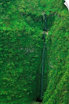 Hawaii, Molokai, Waikolu Valley, Waterfall From A Steep Rainforest Cliff
