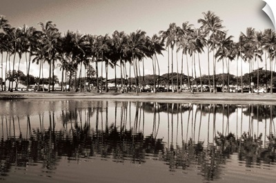 Hawaii, Oahu, Ala Moana Beach Park, Line Of Palm Trees And Reflections In Pond