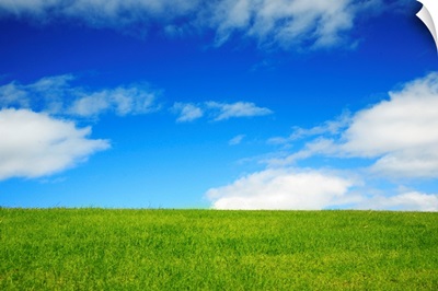 Hawaii, Oahu, Beautiful Landscape Of Green Grass And A Blue Sky
