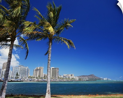 Hawaii, Oahu, Honolulu, Diamond Head Behind Palm Trees