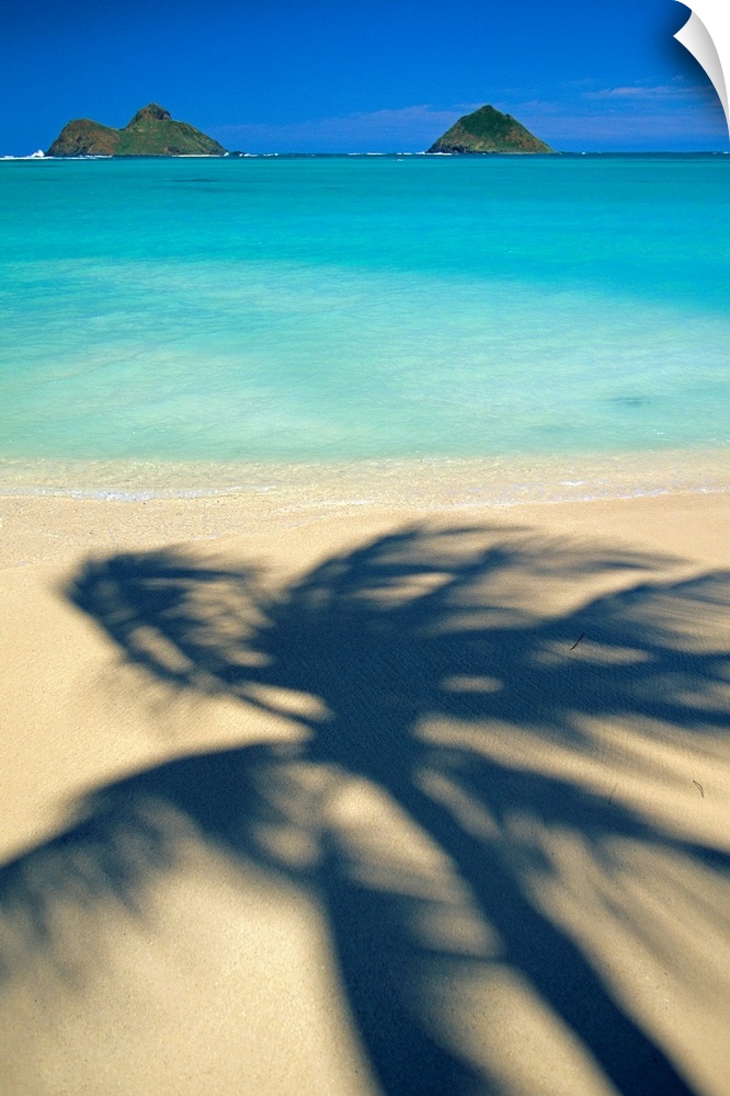 Portrait, oversized photograph of the shadow of a swaying palm tree on Lanikai Beach, the Mokulua Islands sit in the dista...