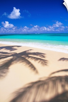 Hawaii, Oahu, Lanikai, Tropical Beach Scene With Palm Shadow On Sand