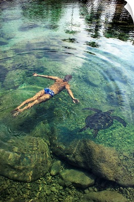 Hawaii, Oahu, Man And Hawaiian Sea Turtle Swimming Side By Side In The Ocean Reef