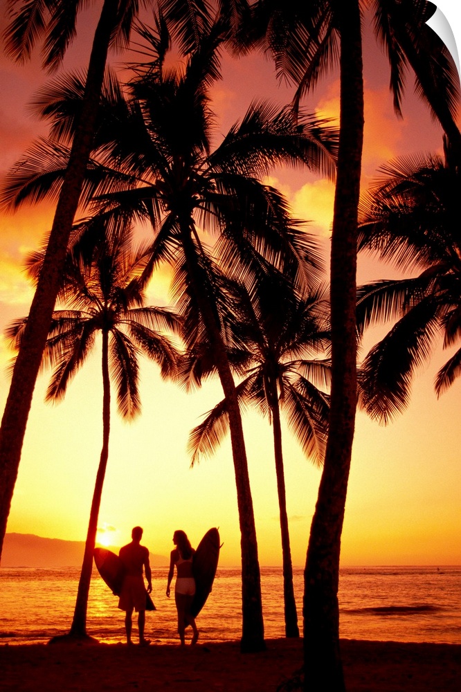 Hawaii, Oahu, North Shore, Couple Walk Under Palms With Surfboards At Sunset
