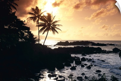 Hawaii, Oahu, North Shore, Rocky Shoreline With Palms Silhouetted At Sunset