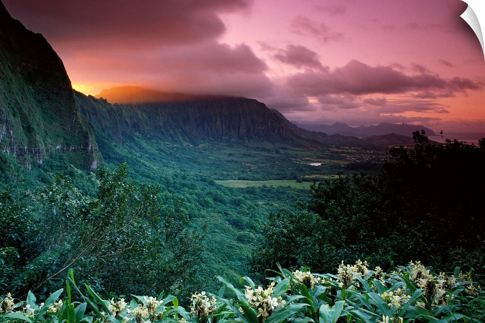 Photograph of tropical forest with high plateaus and cliffs in the distance under a cloudy dark sky at sunset.