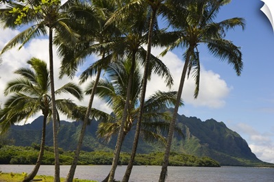 Hawaii, Oahu, Windward, Waikane Beach Park, Kualoa In Background